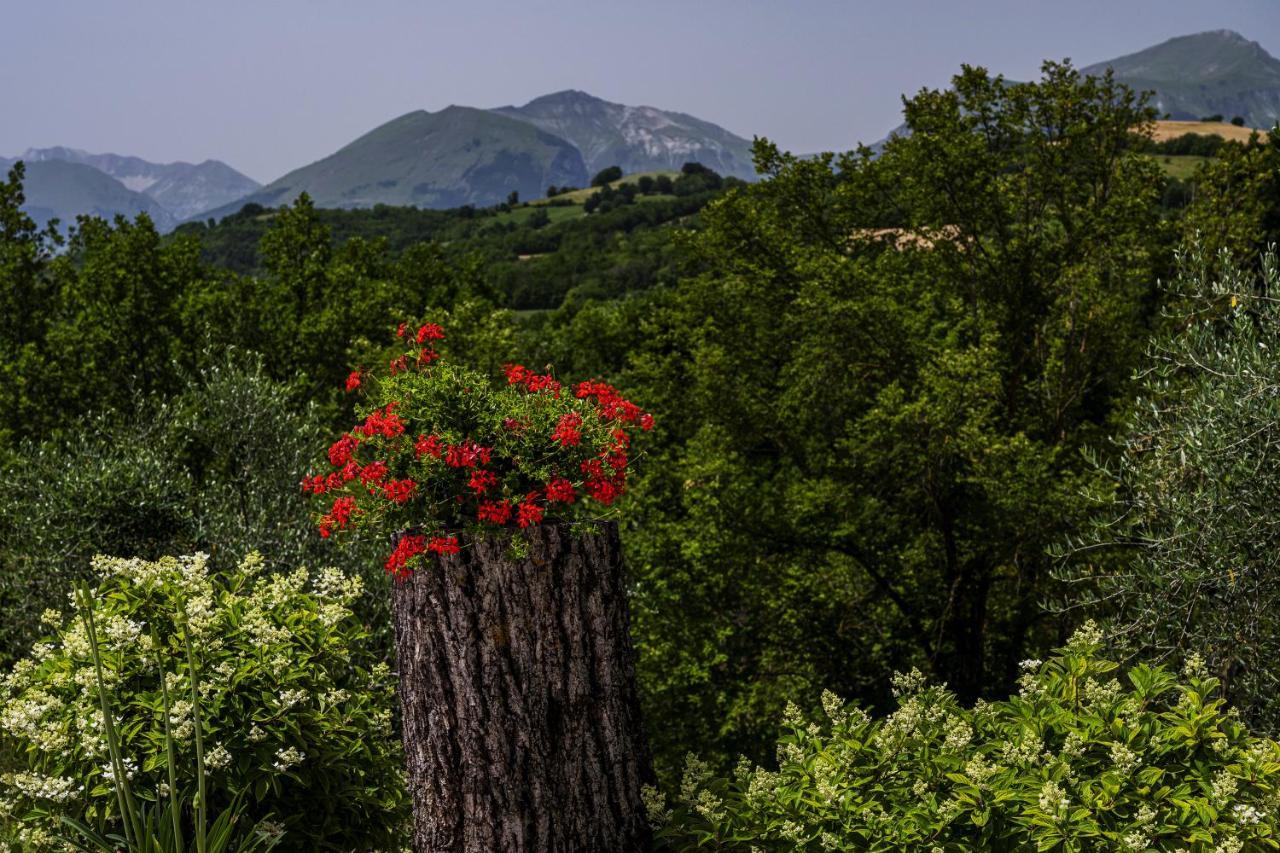 Bed and Breakfast Casa Friano Amandola Esterno foto
